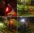 lampka-rowerowa-tylna.webp