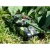 czolg-zdalnie-sterowany-war-tank (1).webp