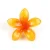 klamra-klips-do-spinania-wlosow-w-ksztalcie-kwiatu.webp