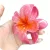 klamra-spinka-do-wlosow-kwiat-na-plaze-basen.webp