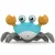 pelzajacy-krab.webp