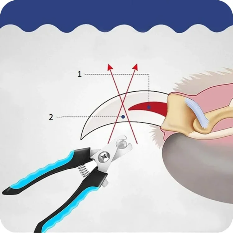 jak-obcinac-psu-kotu-pazury-profesjonalny-obcinacz-pazurow.webp