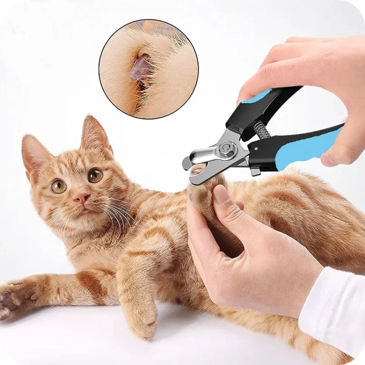 obcinacz-cazki-do-pazurow-kota-psa.webp