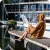 kocobluza-tofee-14.webp